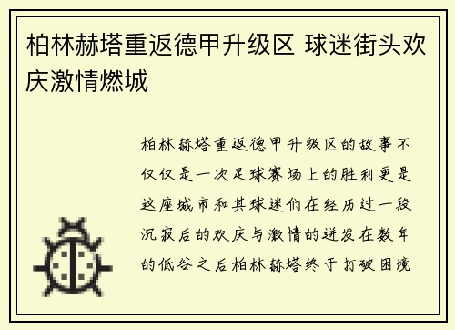 柏林赫塔重返德甲升级区 球迷街头欢庆激情燃城